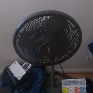 Fan